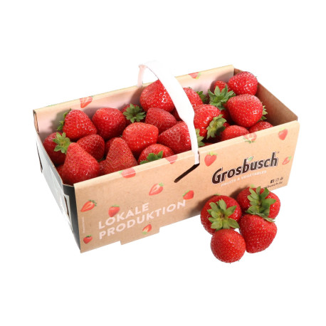 FRAISE GROSBUSCH 4X1KG